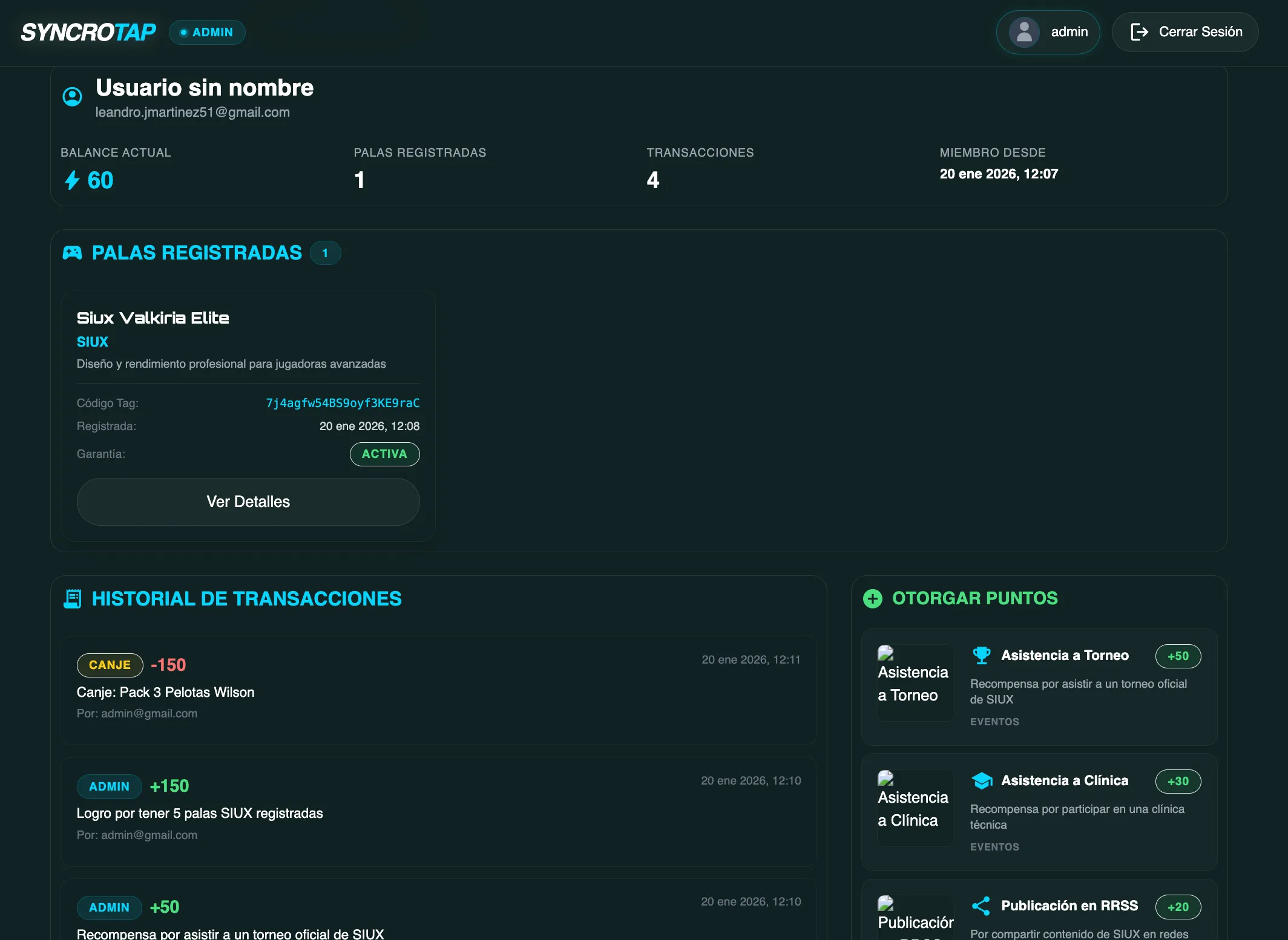 Perfil del jugador en panel admin